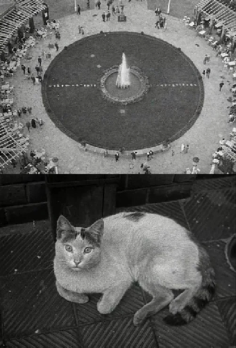 Berliner Stilleben