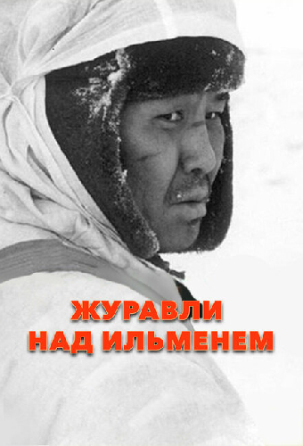 Журавли над Ильменем