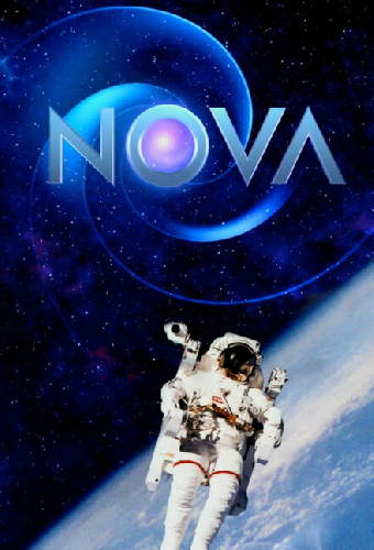 Новая звезда