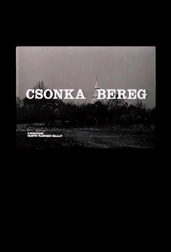 Берег Чонка