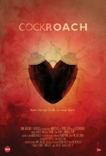 Cockroach