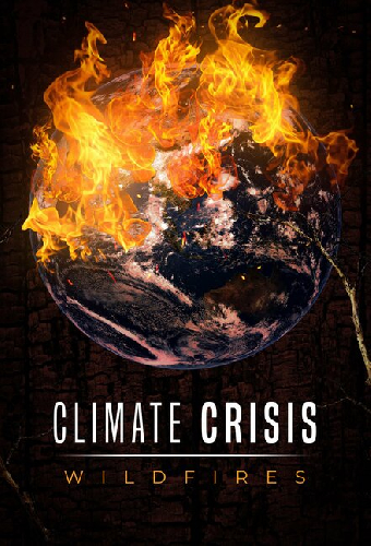 Climate Crisis: Wildfires