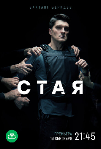 Стая