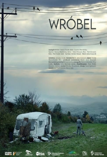 Wróbel