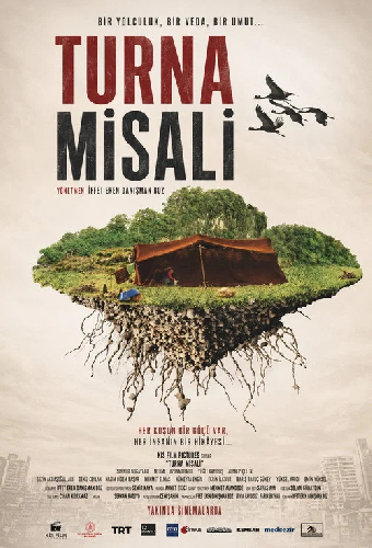 Turna Misali