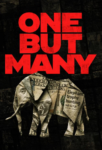 One But Many