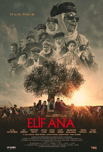 Elif Ana