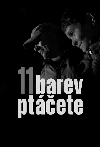 11 barev ptáčete