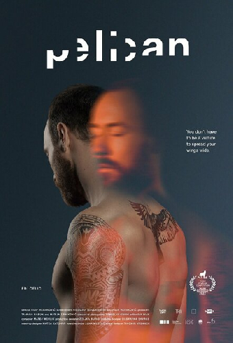 Пеликан