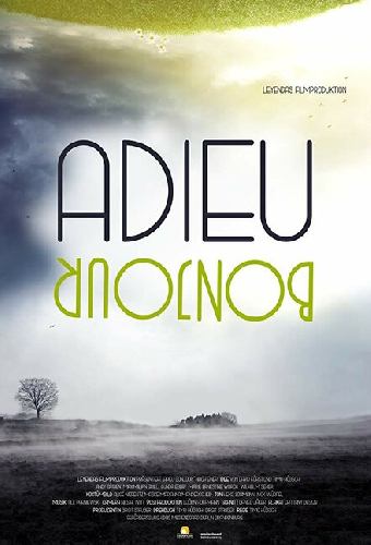 Adieu Bonjour
