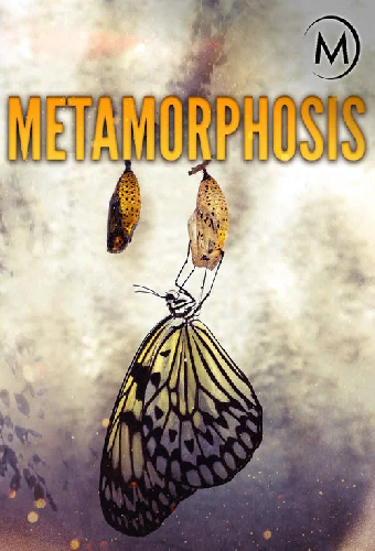 Metamorphosis