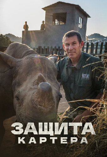 Защита Картера