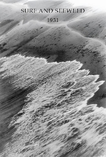 Surf and Seaweed