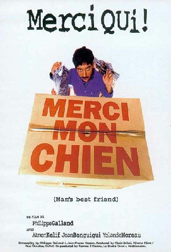 Merci mon chien