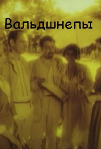 Вальдшнепы