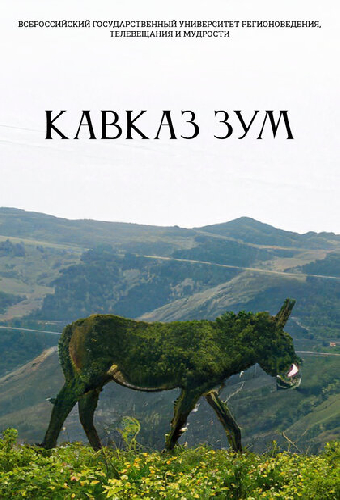 Кавказ Зум