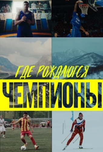 Где рождаются чемпионы