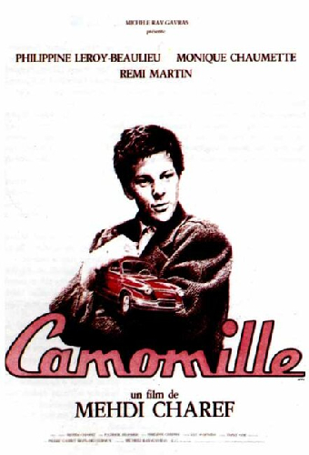 Camomille