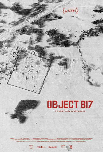 Объект 817