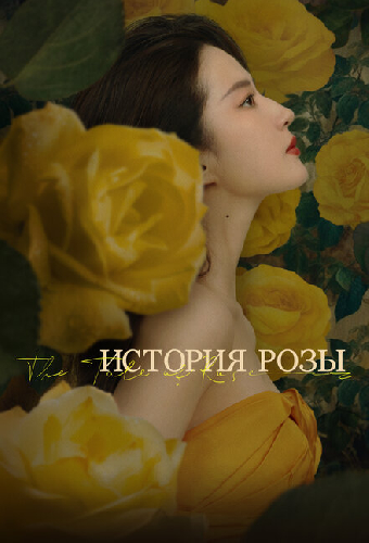 История розы