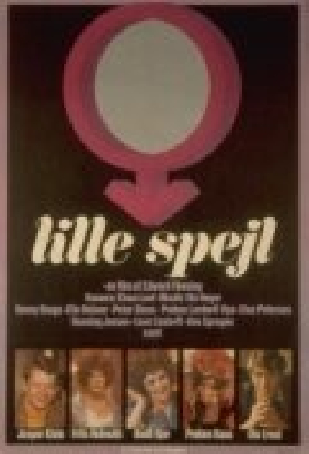 Lille spejl