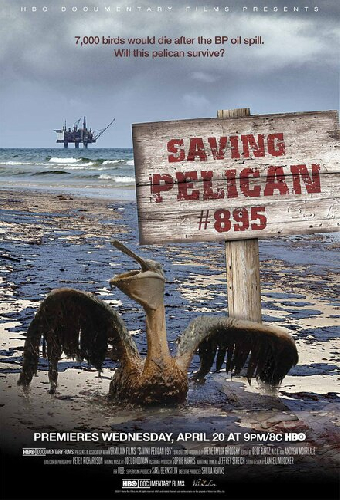 Saving Pelican 895