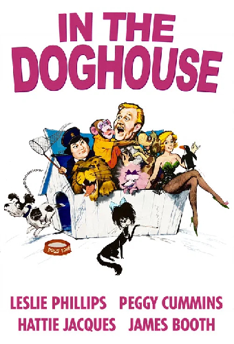 In the Doghouse