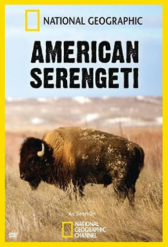 American Serengeti