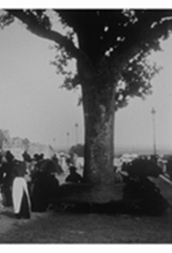 Pau : la terrasse