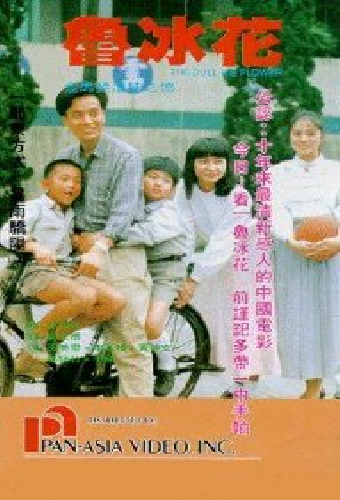 魯冰花
