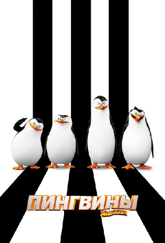 Пингвины Мадагаскара