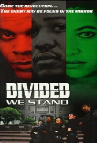 Divided We Stand