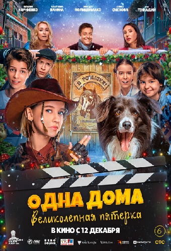 Одна дома: Великолепная пятерка