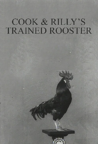 Le coq dressé de Cook et Rilly