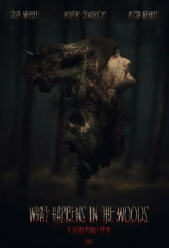 What Happens in the Woods