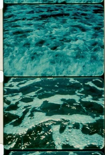 A Child’s Garden and the Serious Sea