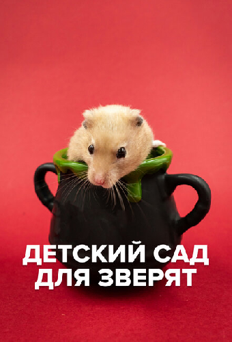 Детский сад для зверят
