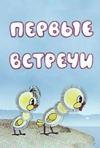 Первые встречи