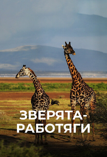 Зверята-работяги