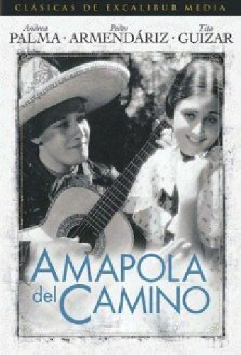 Amapola Del Camino