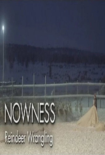 Untold Odyssey: Reindeer Wrangling