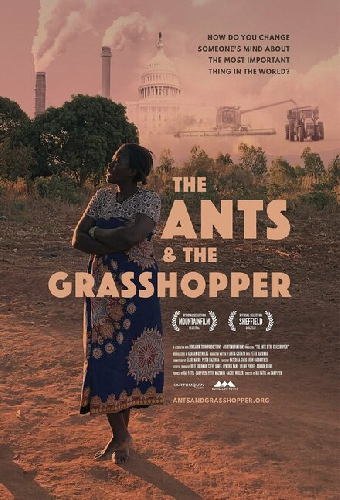 The Ants and the Grasshopper