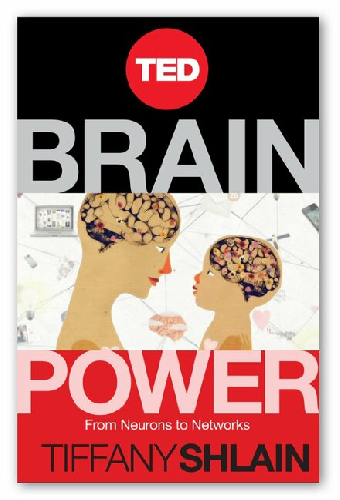 Brain Power: From Neurons to Networks