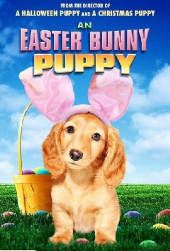 An Easter Bunny Puppy