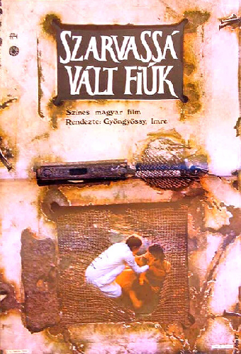 Szarvassá vált fiúk