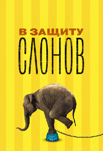 В защиту слонов