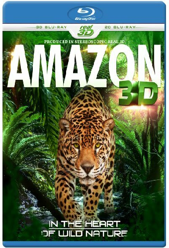 Amazon 3D