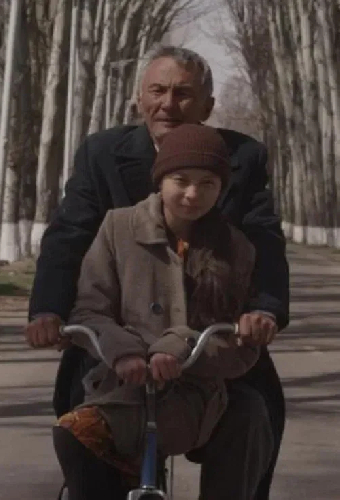 Чайка