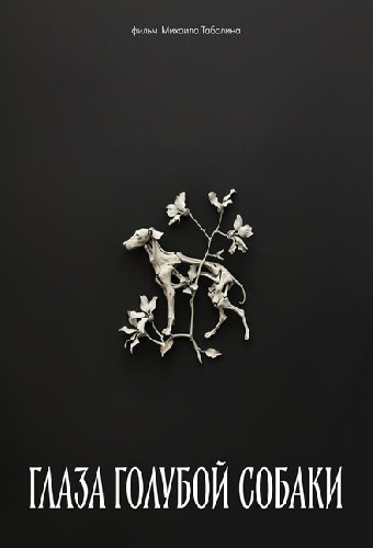 Глаза голубой собаки