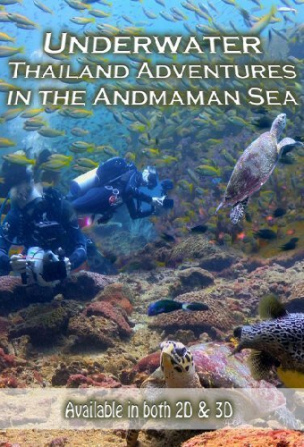 Underwater Thailand: Swimming with Sharks